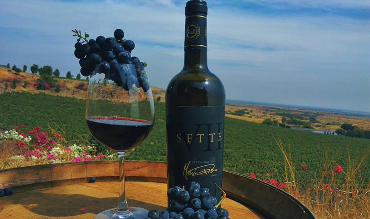 Fratelli releases four Sette vintages