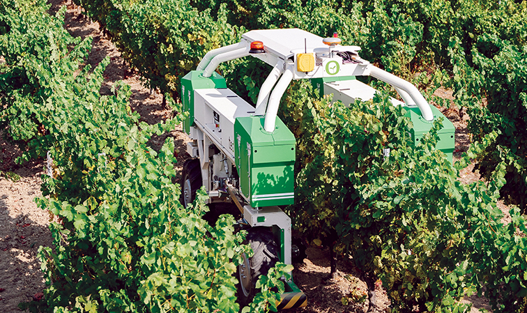 UV robot protects grapes sustainably