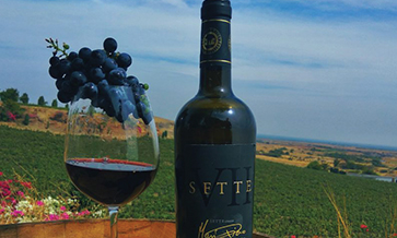 Fratelli releases four Sette vintages