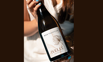 Fratelli brings Ivelle to Yauatcha