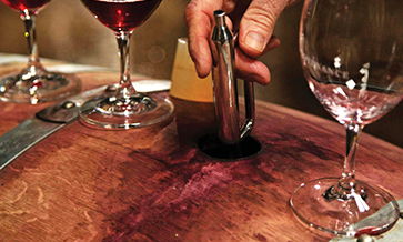Finger-printing terroir to prove wine provenance